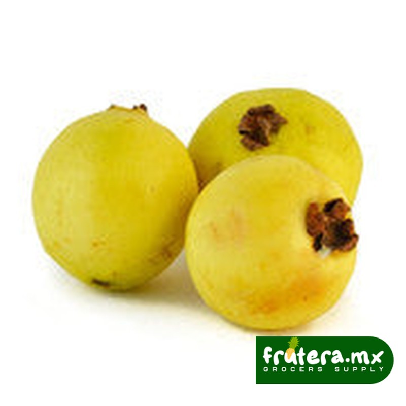 A1 GUAYABA PIEZA