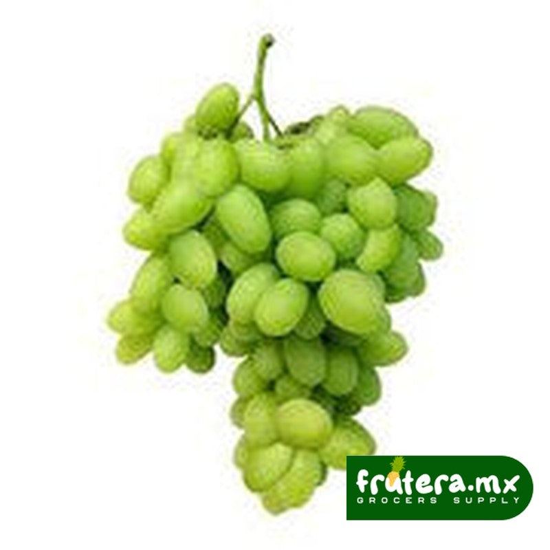 A1 UVA BLANCA PIEZA