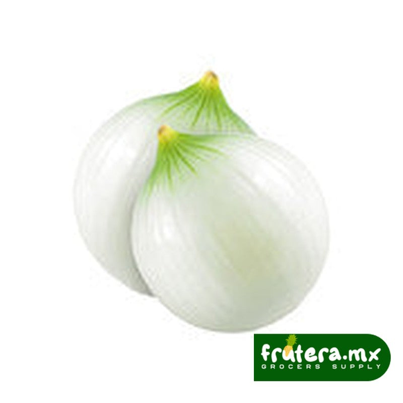 A2 CEBOLLA BLANCA PIEZA