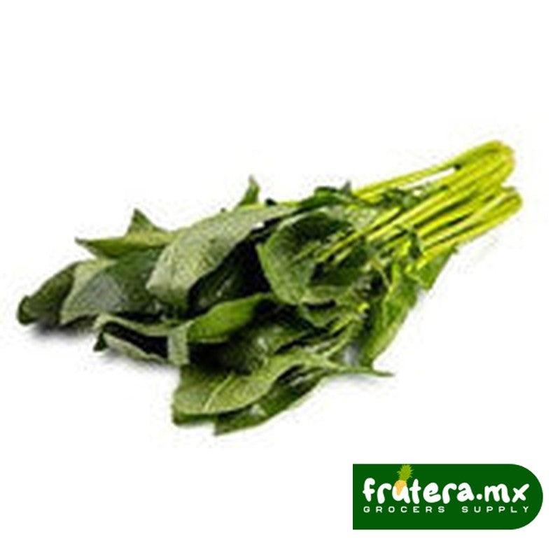 A2 ESPINACA PZA