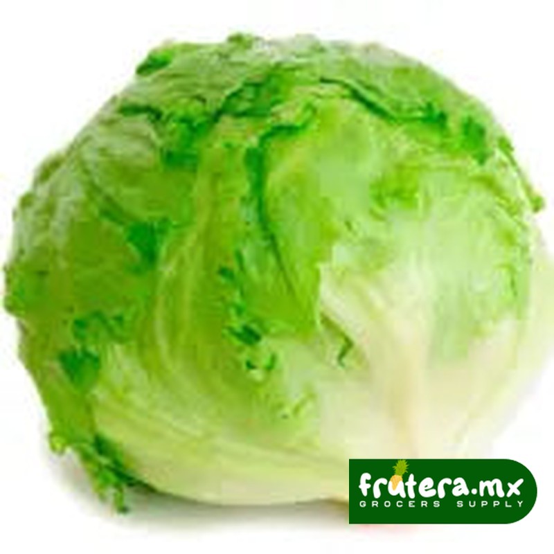 A2 LECHUGA PIEZA
