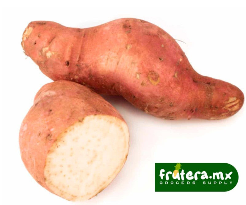 A2 CAMOTE PIEZA