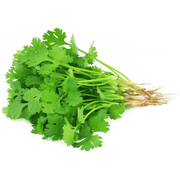 CILANTRO KILO
