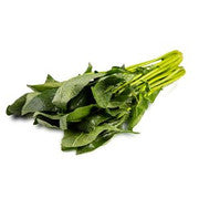 ESPINACA PZA