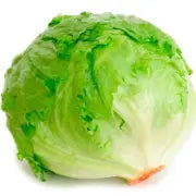 LECHUGA PIEZA