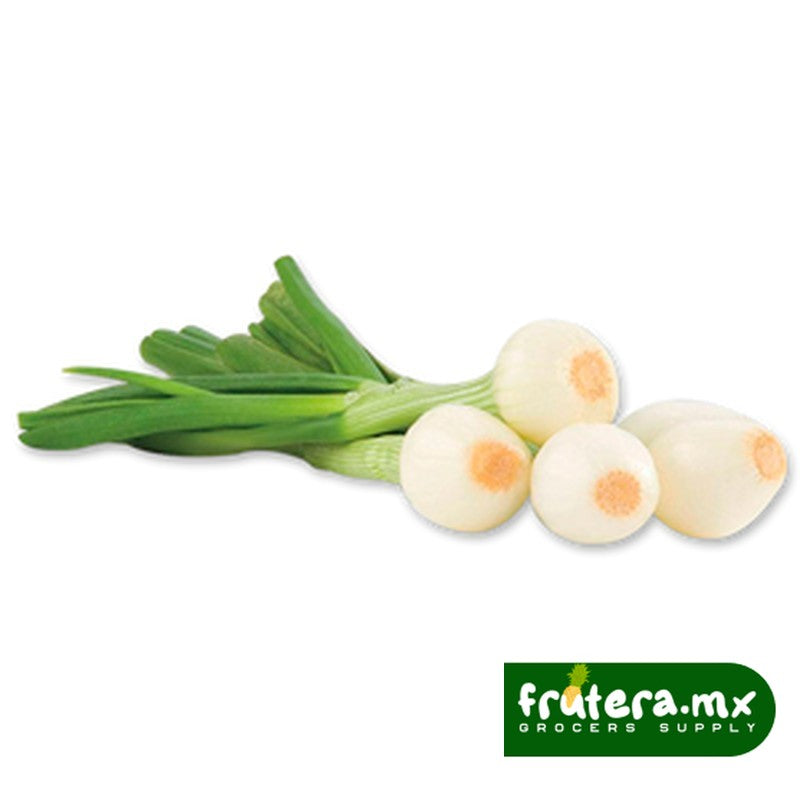 A2 CEBOLLA CAMBRAY PIEZA