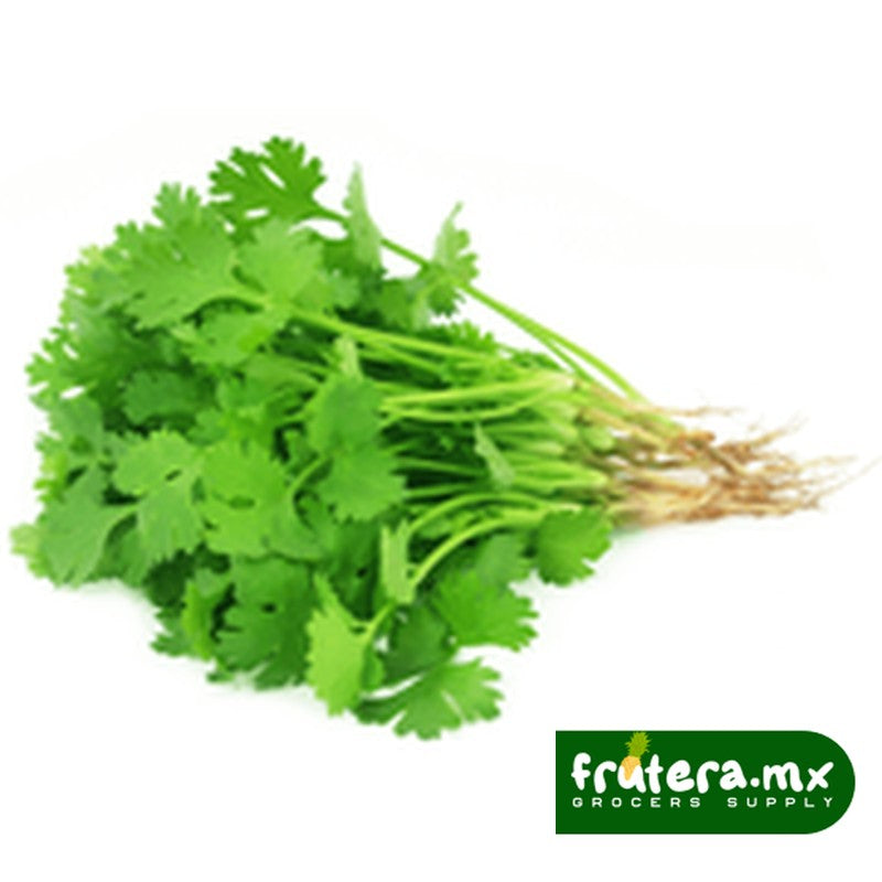 A2 CILANTRO KILO