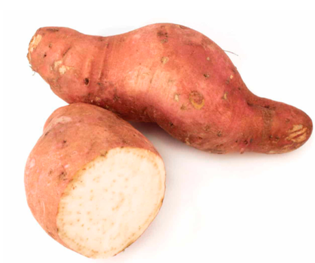 CAMOTE KILO