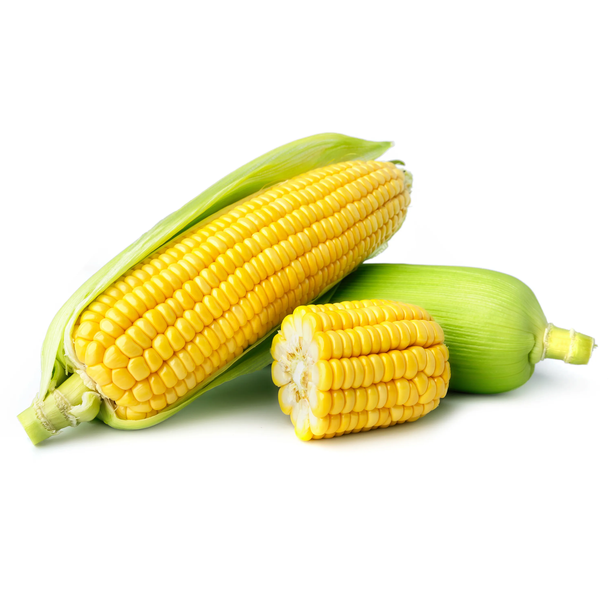 A2 ELOTE PZA