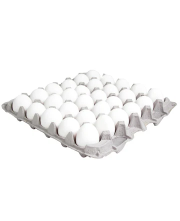 HUEVO CHAROLA PORTALES PZA