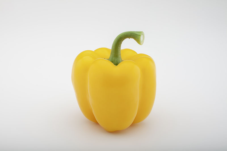 PIMIENTO MORRÓN AMARILLO